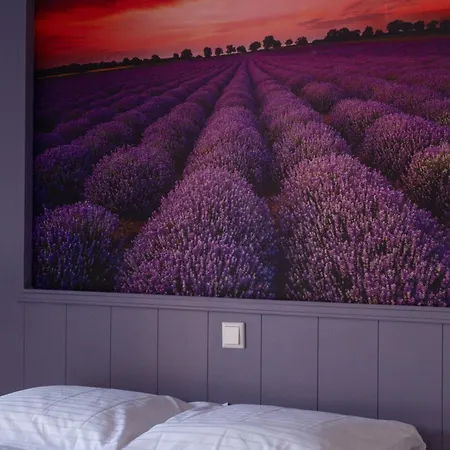 Maison Bienvenue 3*
