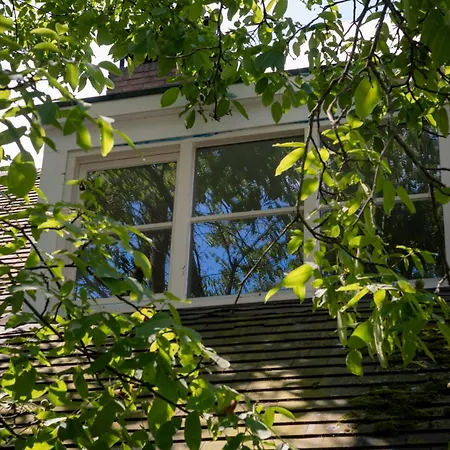 Maison Bienvenue Lierop